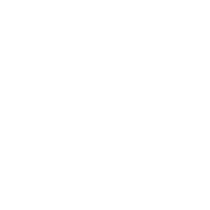 scalable-icon